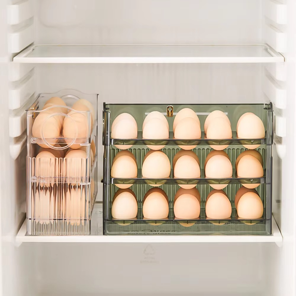 Egg Refrigerator Storage